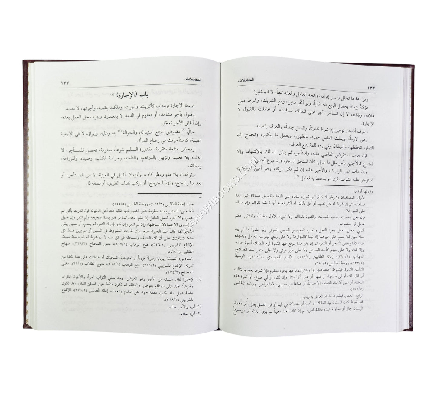 الحاوي الصغير في الفقه الشافعي