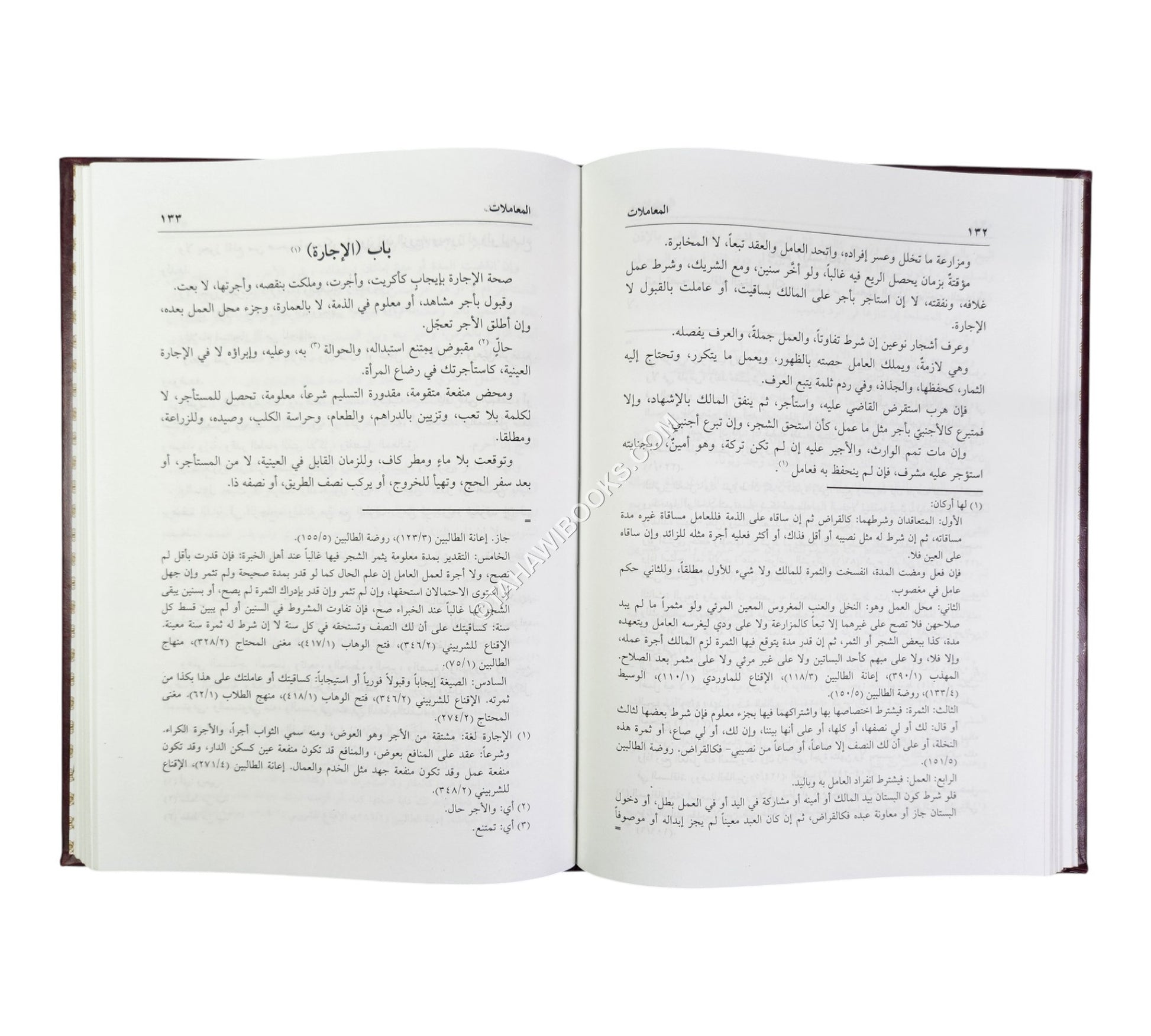 الحاوي الصغير في الفقه الشافعي