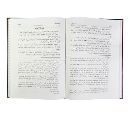 الحاوي الصغير في الفقه الشافعي
