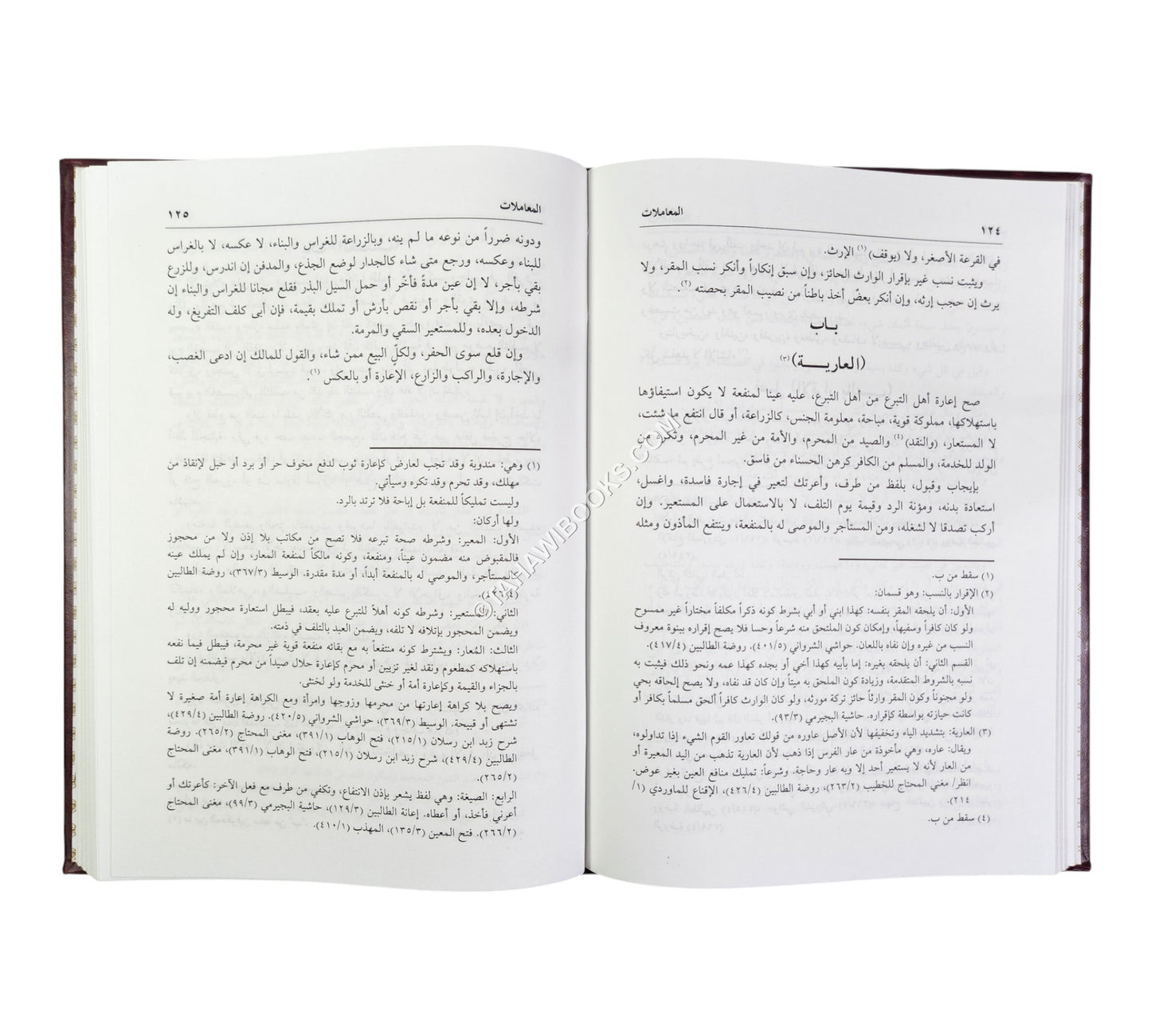 الحاوي الصغير في الفقه الشافعي