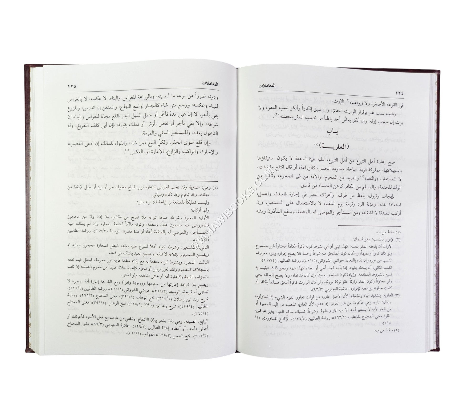 الحاوي الصغير في الفقه الشافعي