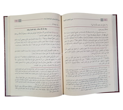 شرح العقائد النسفية-الدقاق