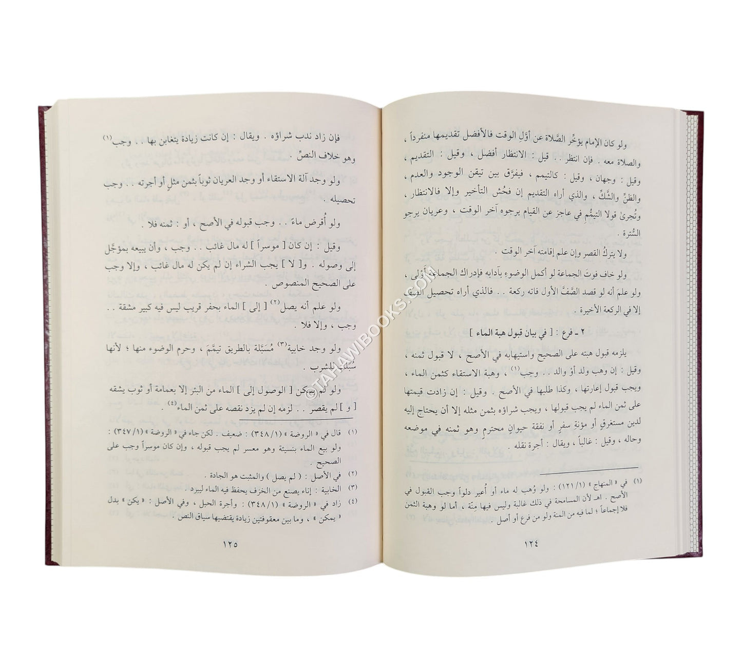 التحقيق في فقه الامام الشافعي
