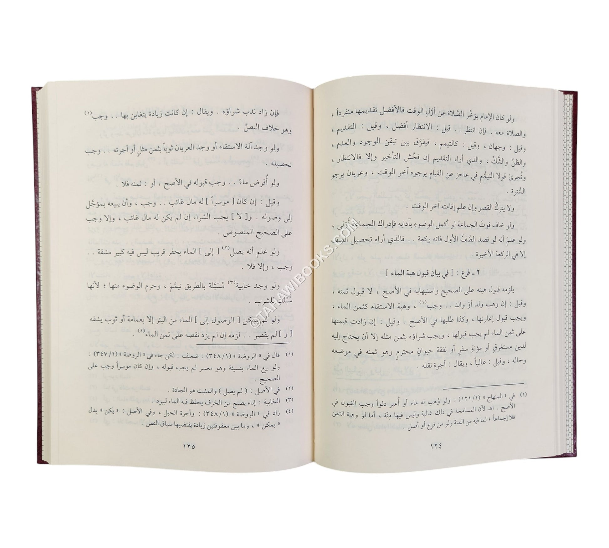التحقيق في فقه الامام الشافعي