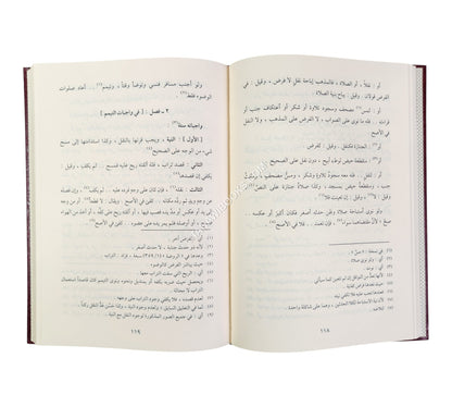 التحقيق في فقه الامام الشافعي