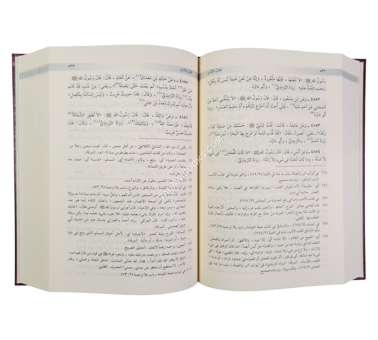الأبواب المنتخبة من مشكاة المصابيح