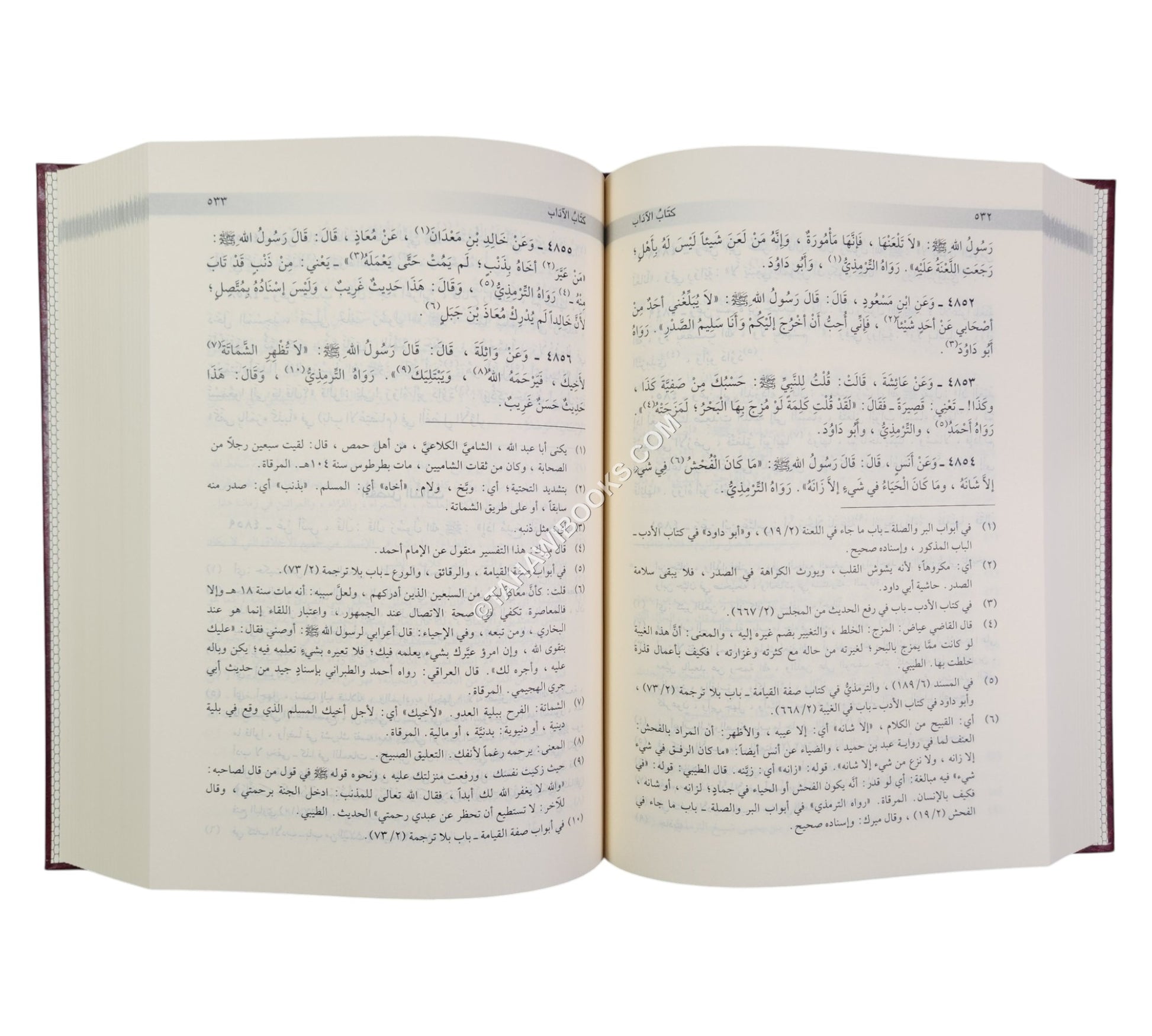 الأبواب المنتخبة من مشكاة المصابيح