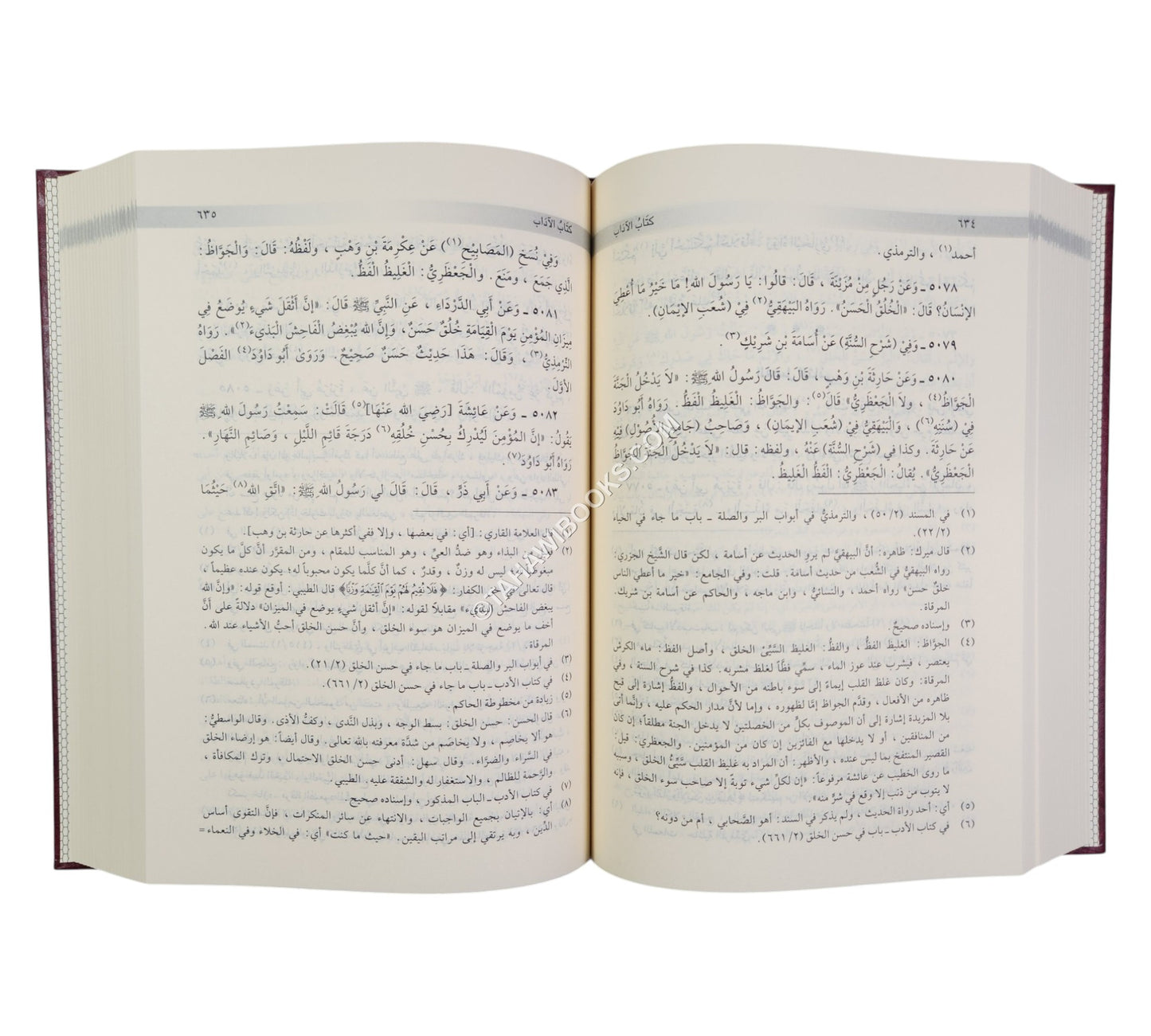 الأبواب المنتخبة من مشكاة المصابيح