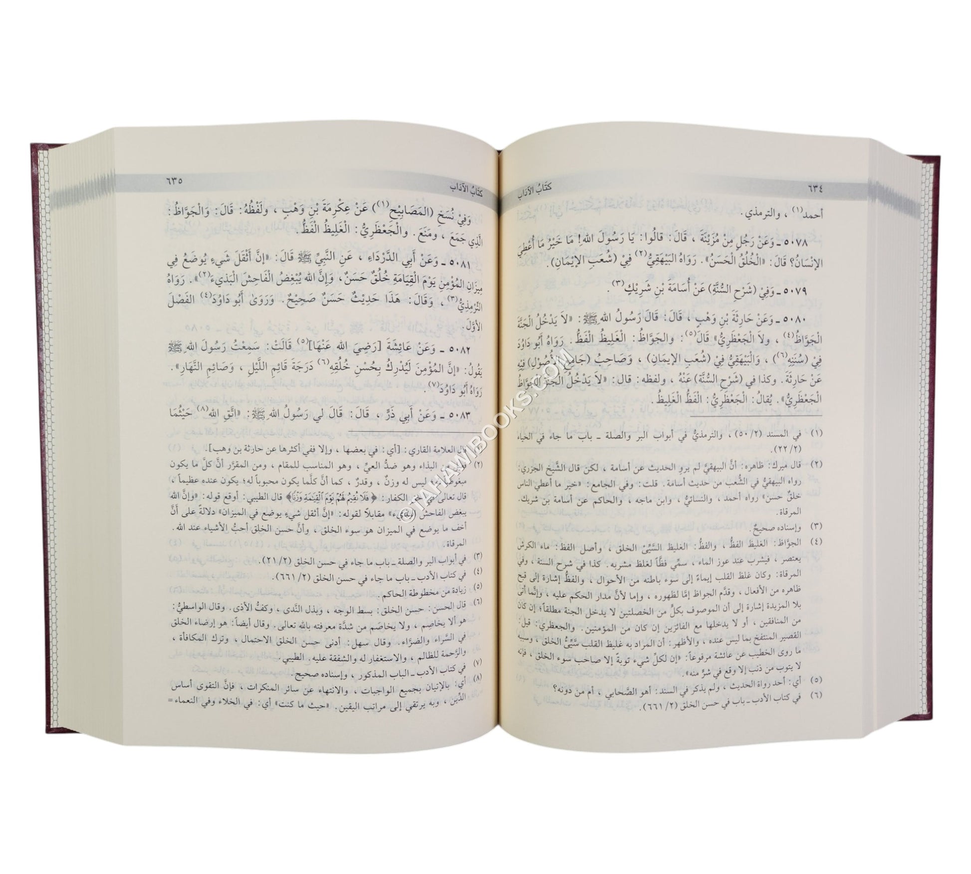 الأبواب المنتخبة من مشكاة المصابيح