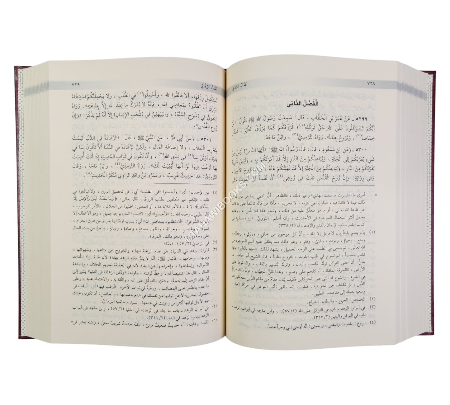 الأبواب المنتخبة من مشكاة المصابيح