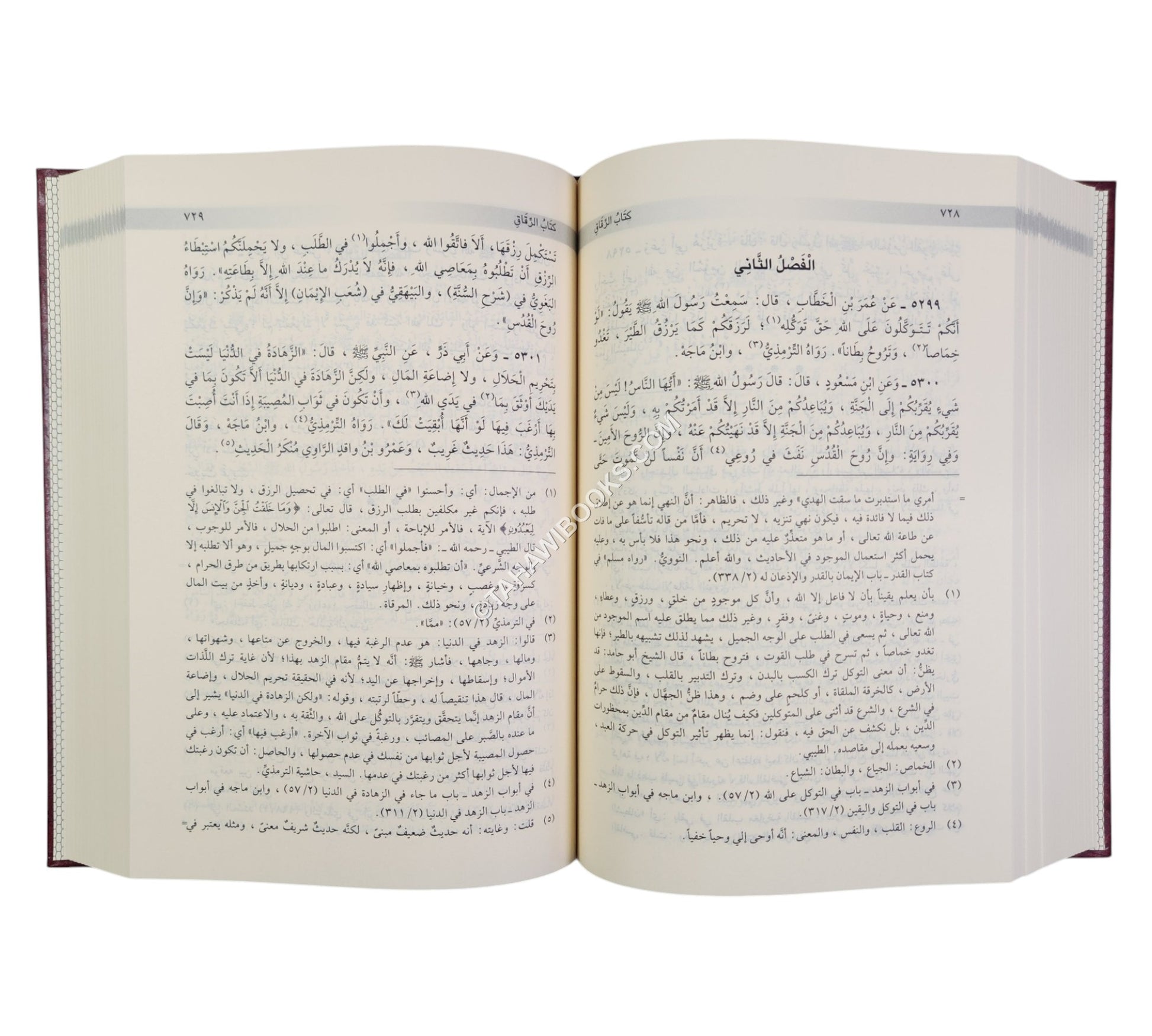 الأبواب المنتخبة من مشكاة المصابيح
