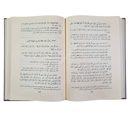 نزهة المتقين شرح رياض الصالحين
