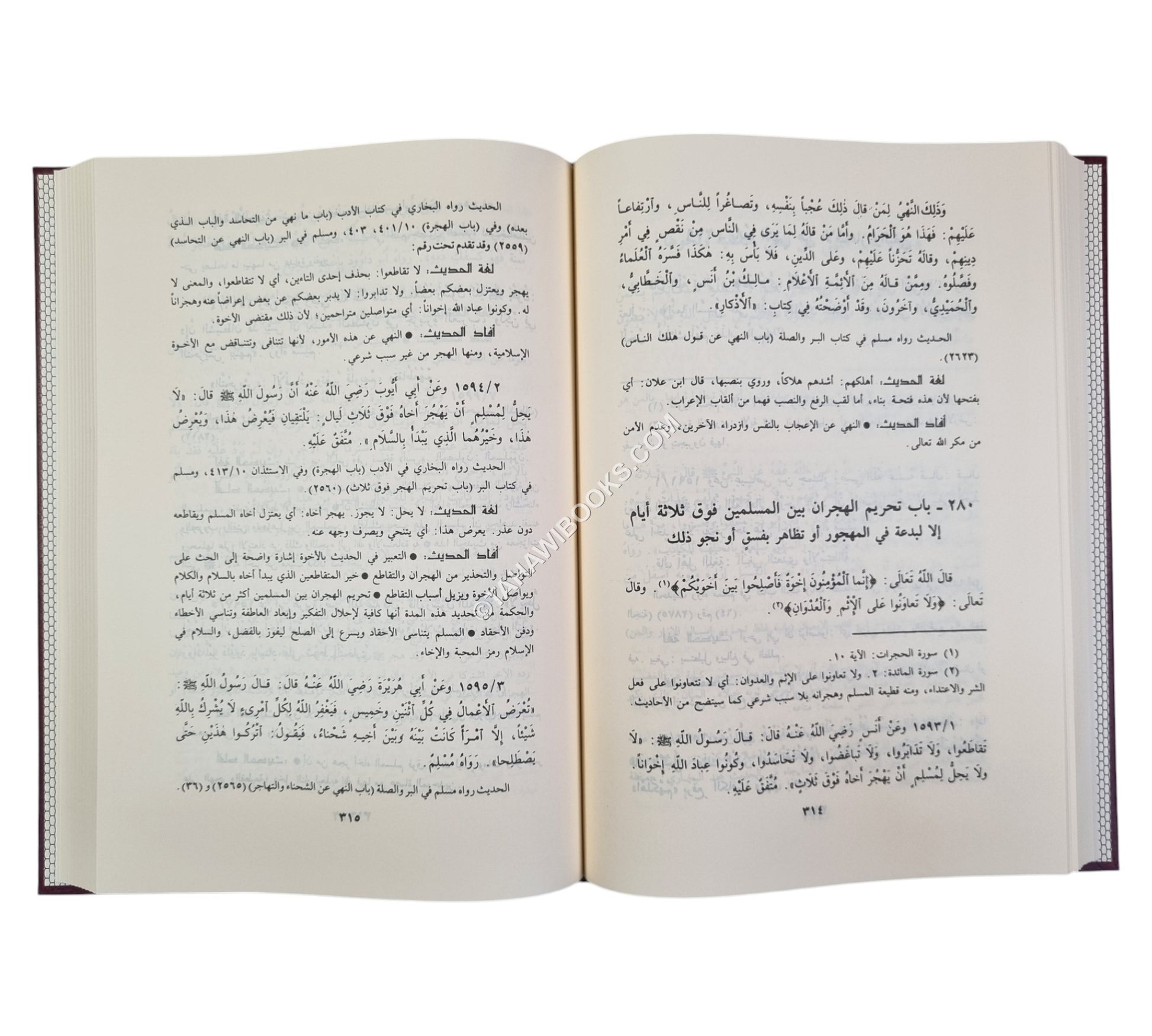 نزهة المتقين شرح رياض الصالحين