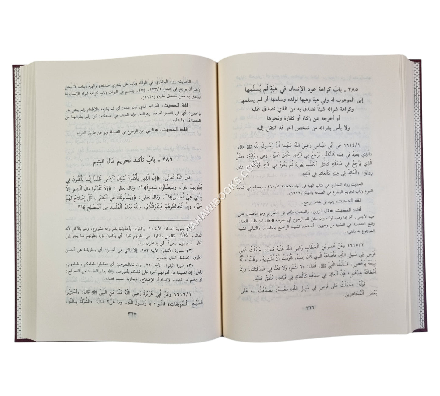 نزهة المتقين شرح رياض الصالحين