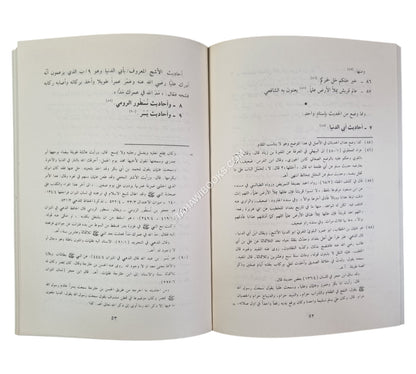 الدر الملتقط في تبيين الغلط ويليه كتاب الموضوعات
