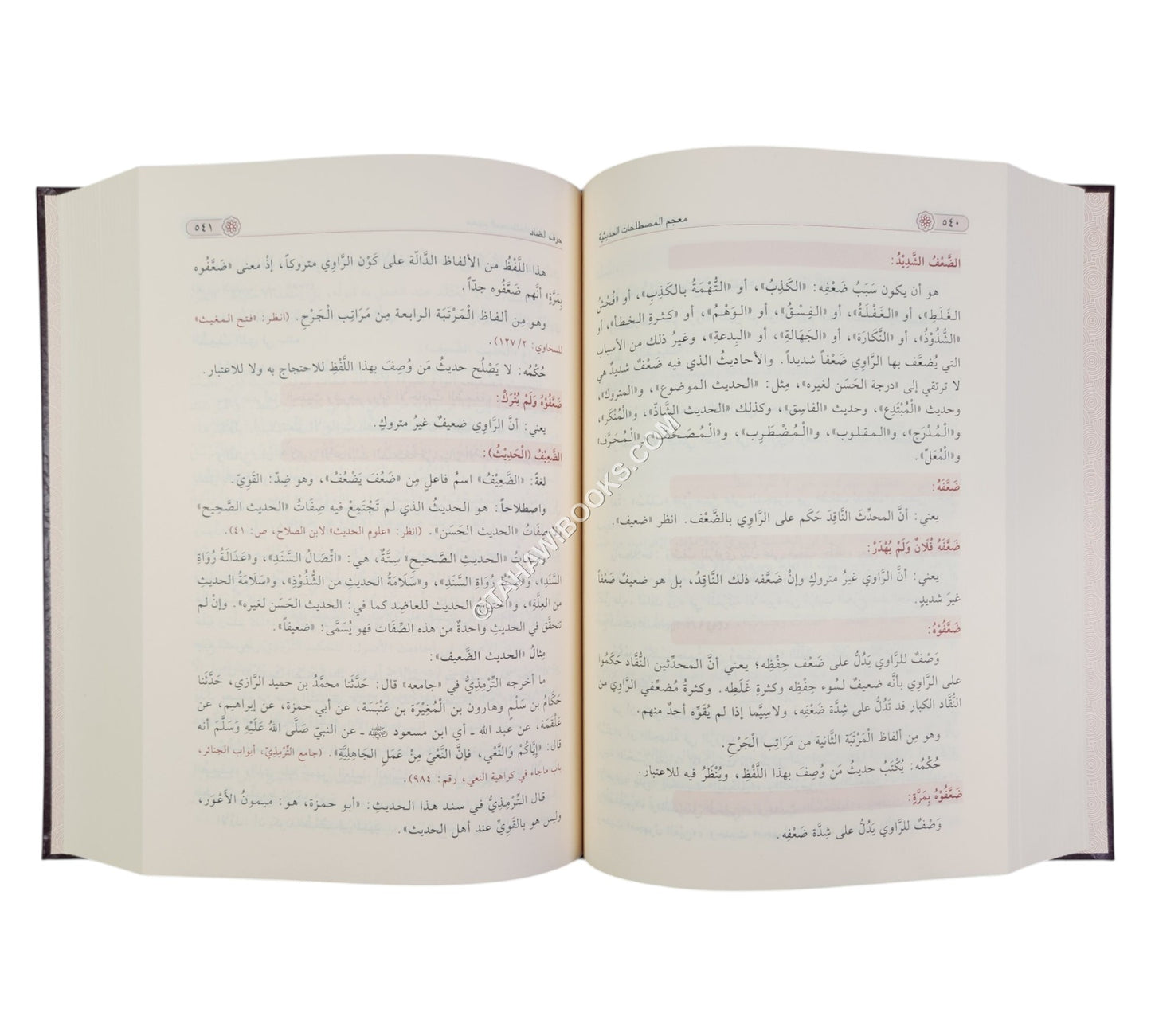 معجم المصطلحات الحديثية