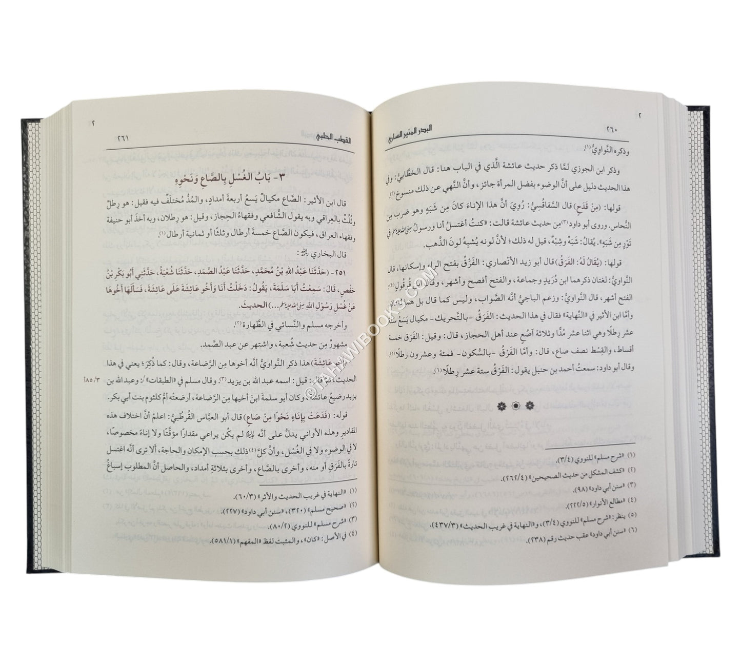 البدر المنير الساري في الكلام على صحيح البخاري