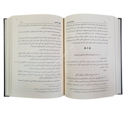 البدر المنير الساري في الكلام على صحيح البخاري