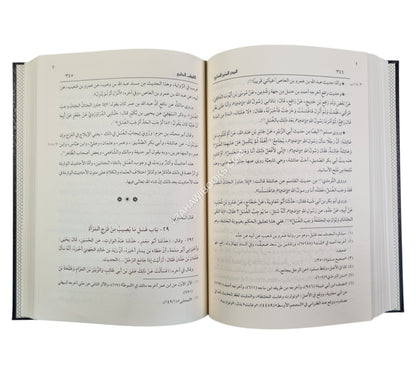 البدر المنير الساري في الكلام على صحيح البخاري