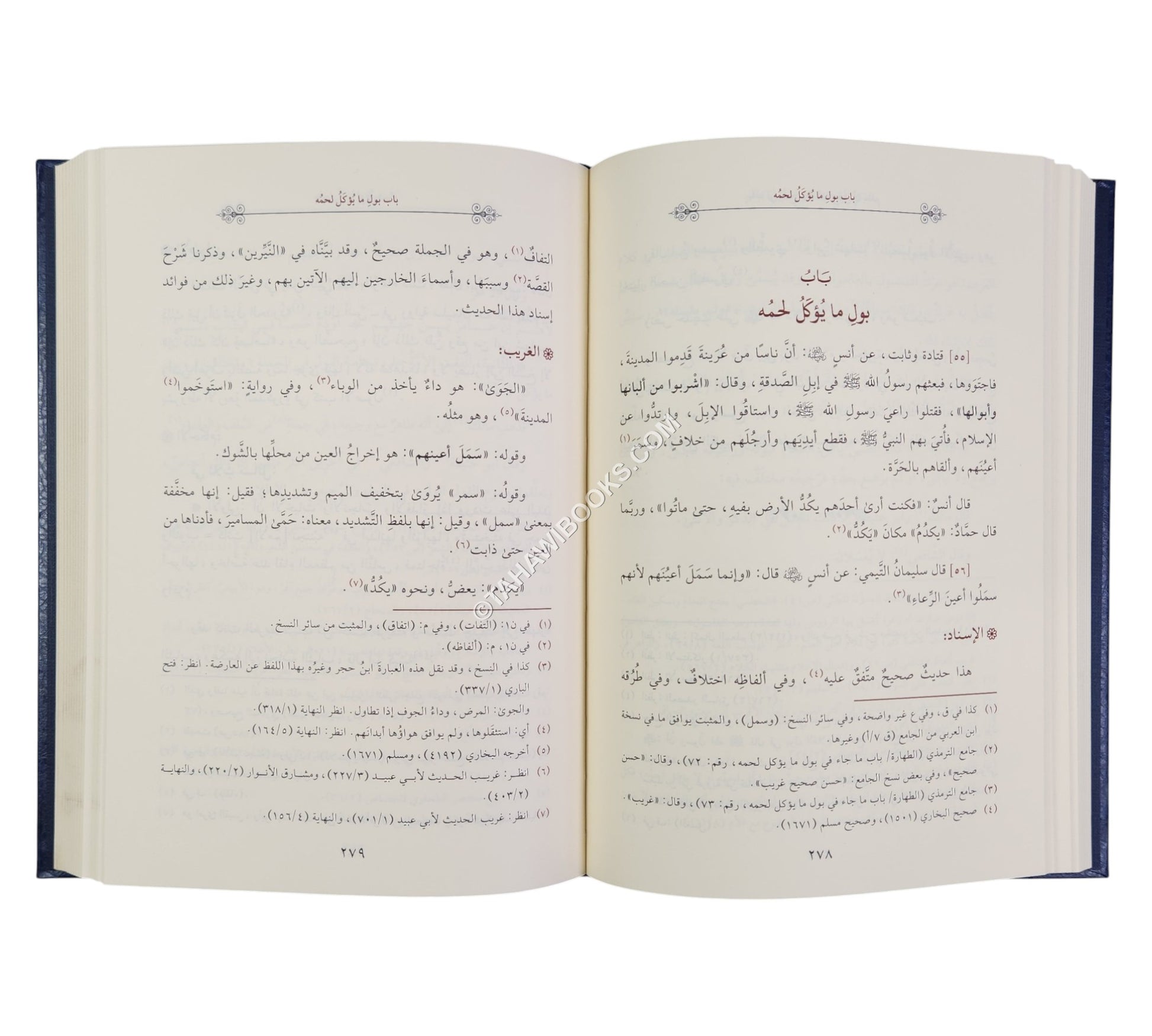 عارضة الأحوذي على كتاب الترمذي-أسفار