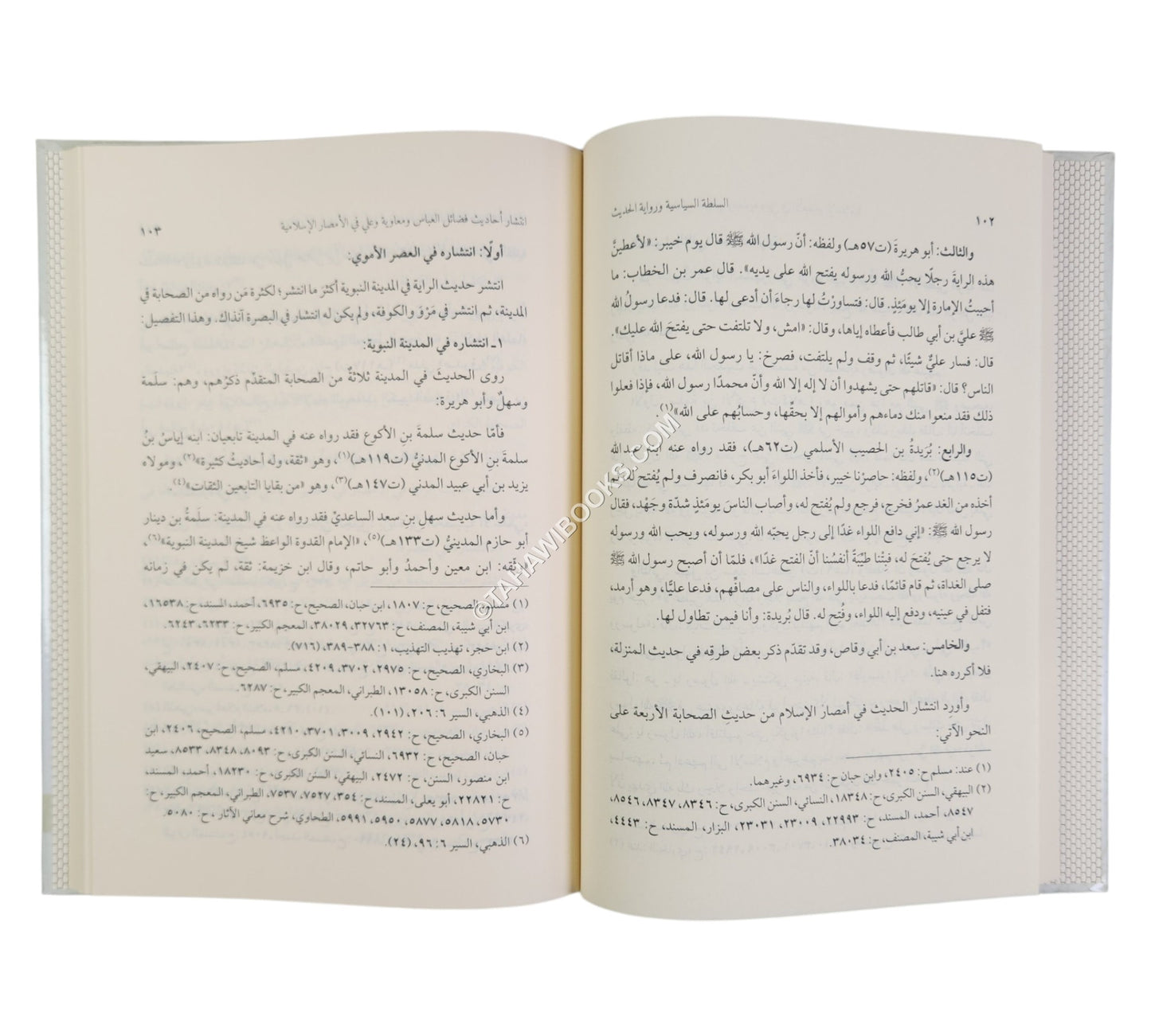 السلطة السياسية وحركة رواية الحديث ونقده ط2