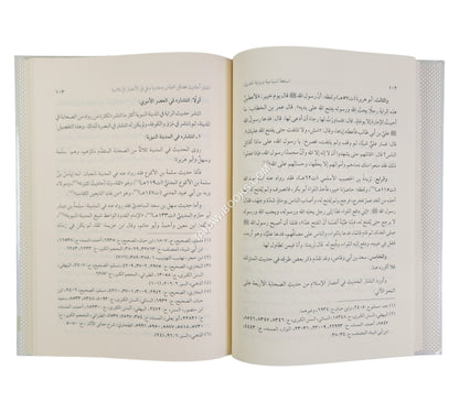 السلطة السياسية وحركة رواية الحديث ونقده ط2