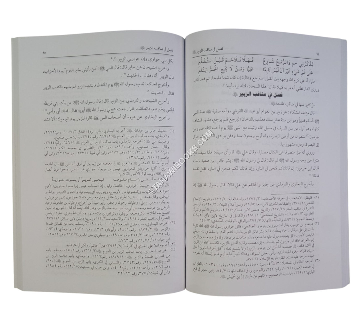 الناهية عن طعن أمير المؤمنين معاوية (رضي الله عنه)