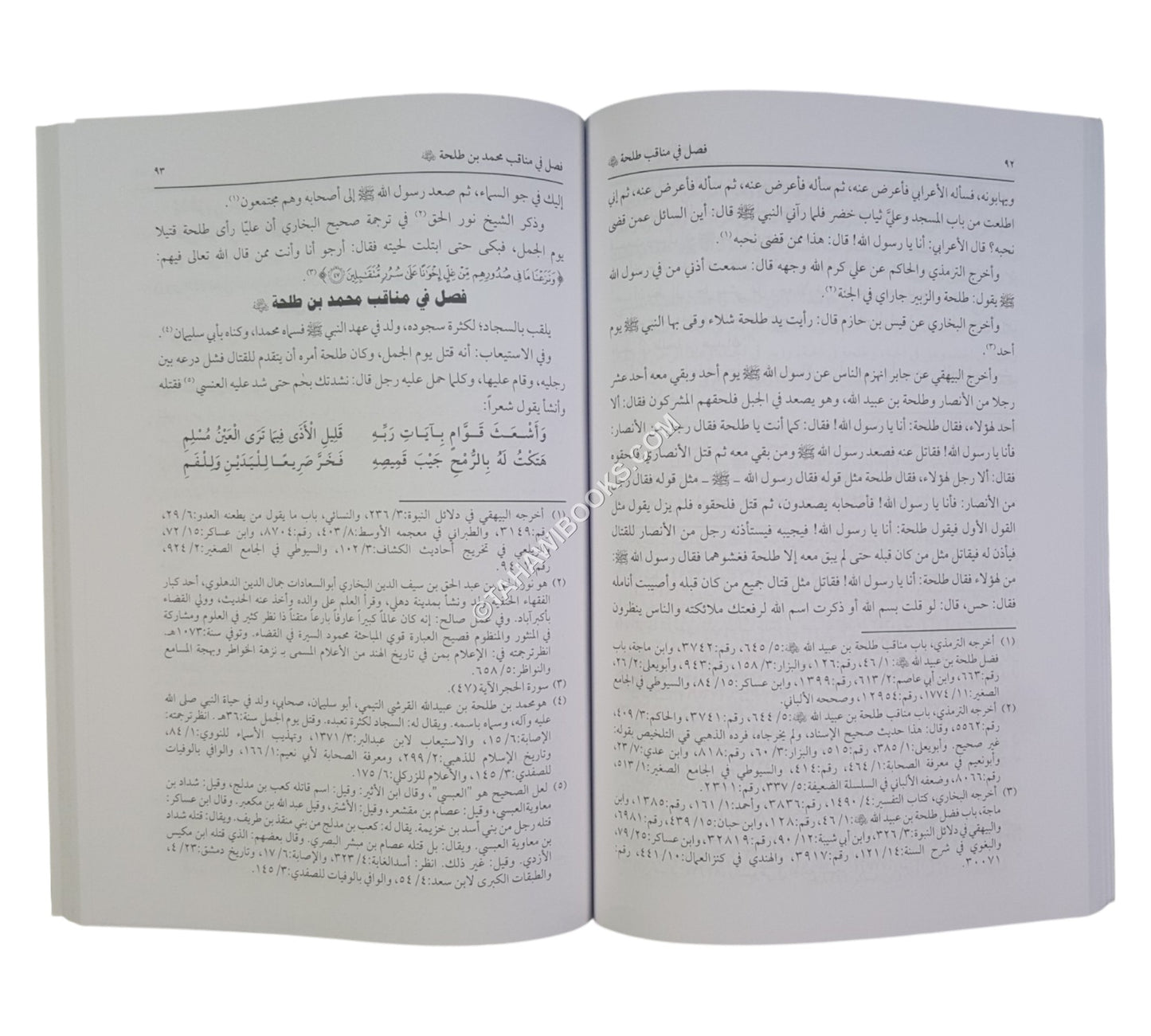 الناهية عن طعن أمير المؤمنين معاوية (رضي الله عنه)