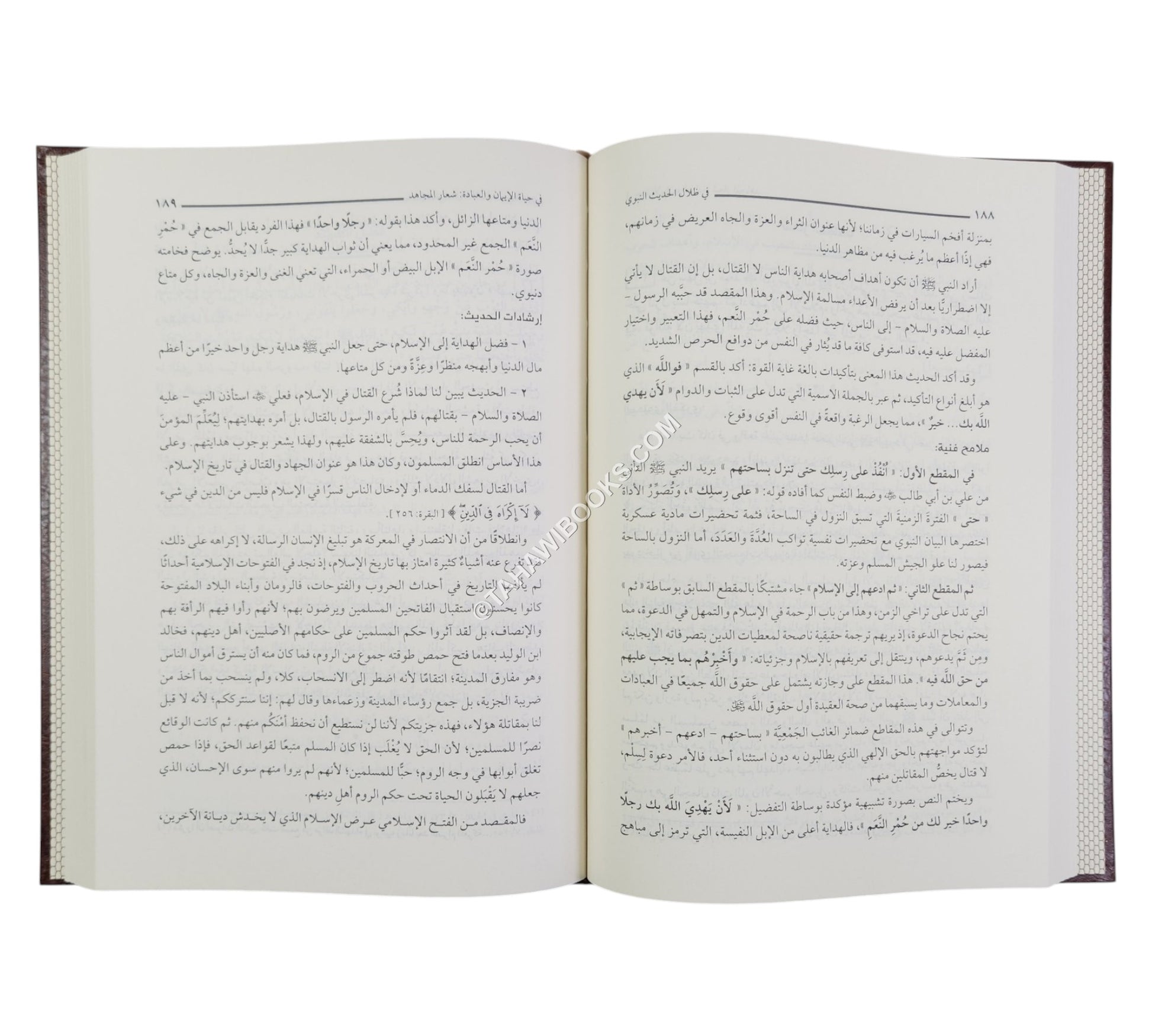 في ظلال الحديث النبوي ومعه معالم البيان النبوي-المنهاج القويم