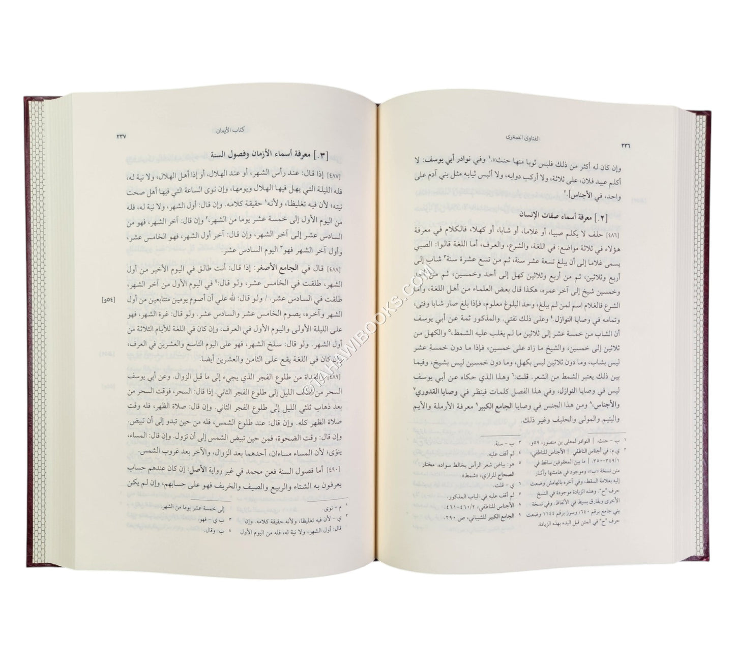 الفتاوى الصغرى