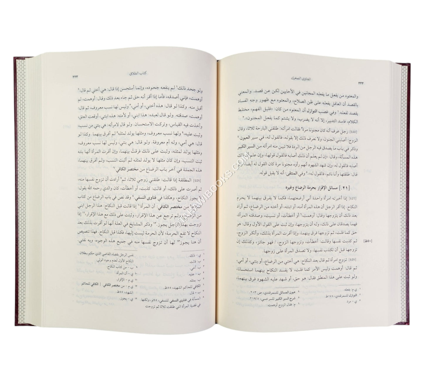 الفتاوى الصغرى