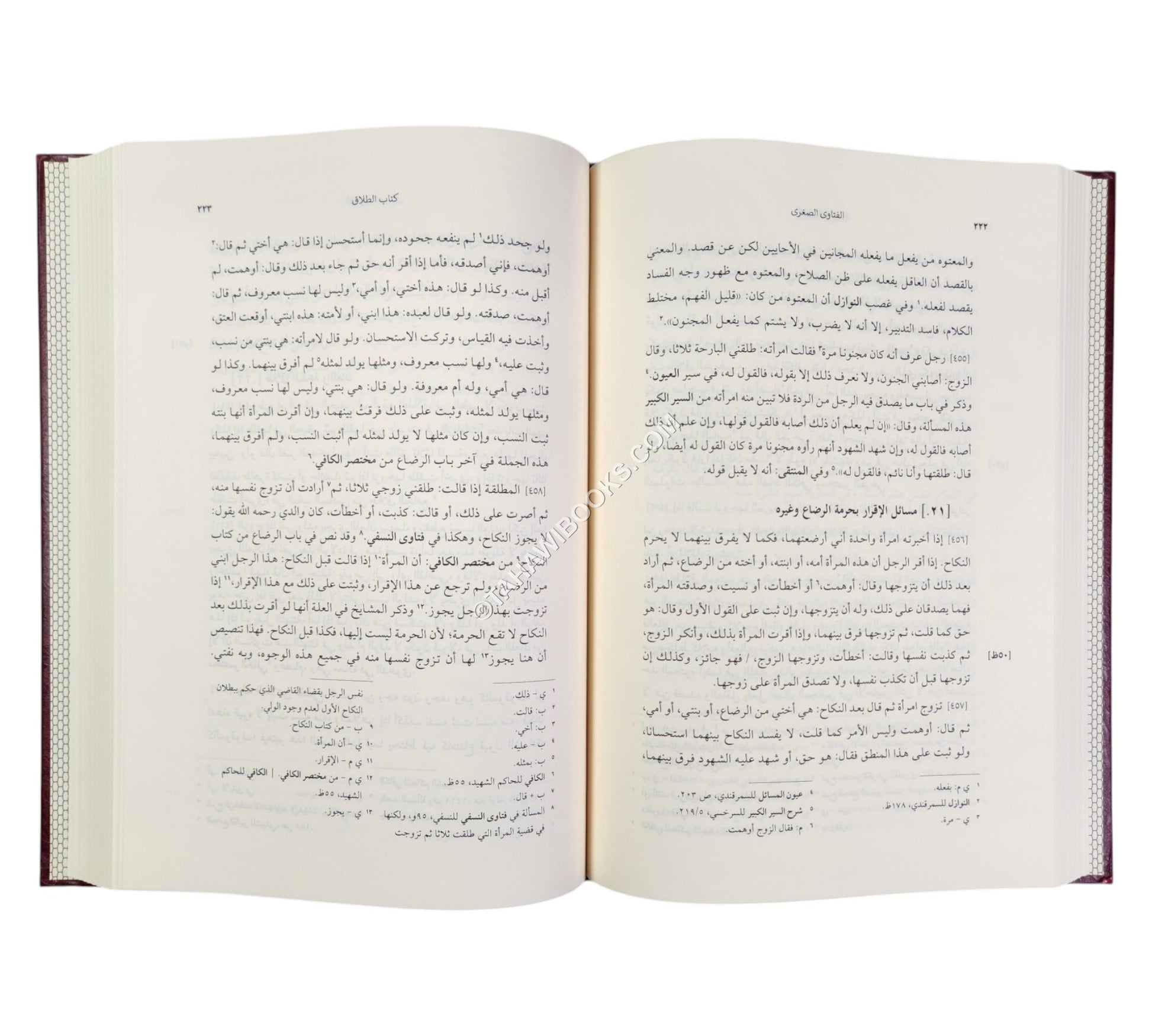الفتاوى الصغرى