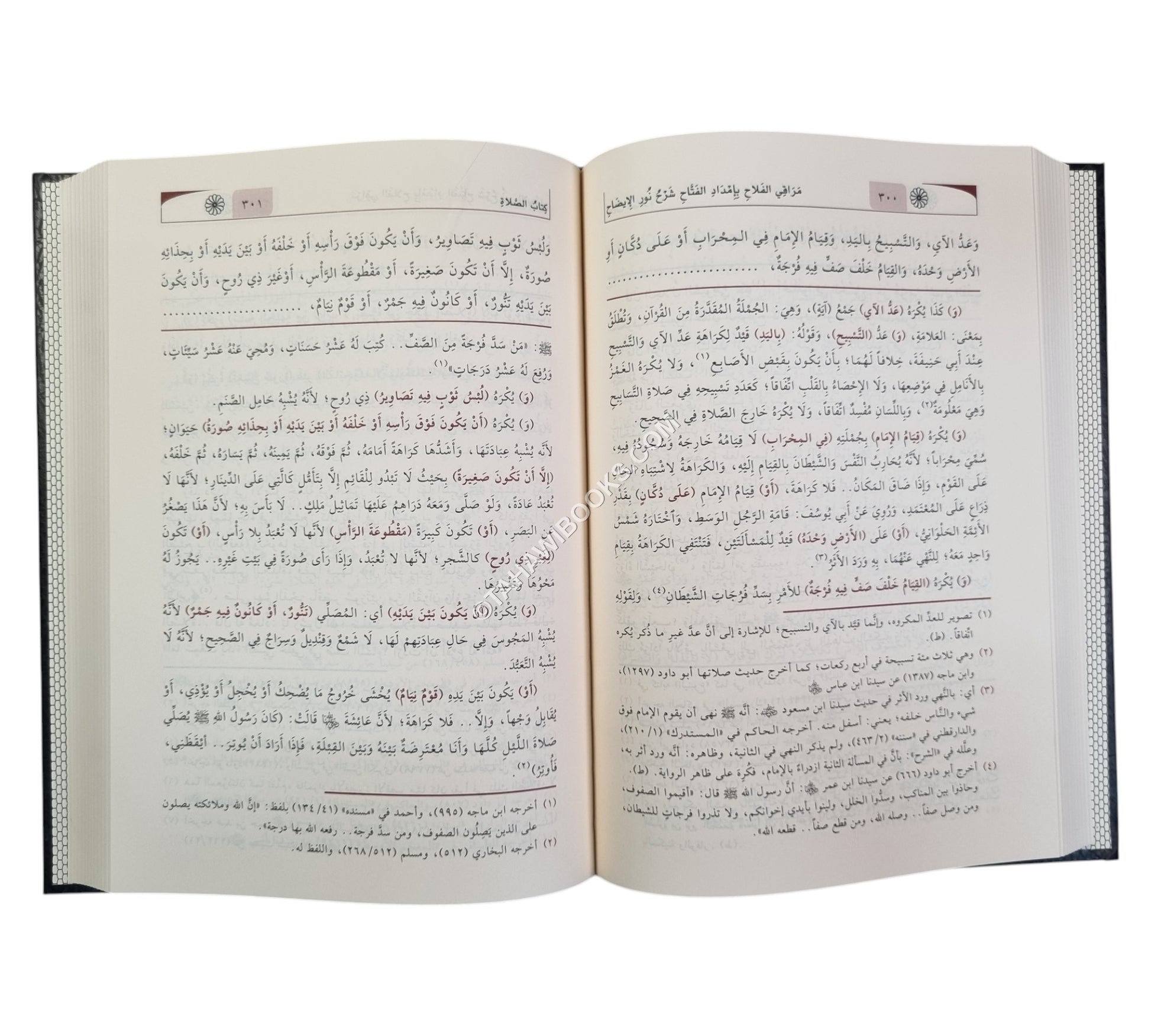 مراقي الفلاح شرح نور الإيضاح-نور الصباح