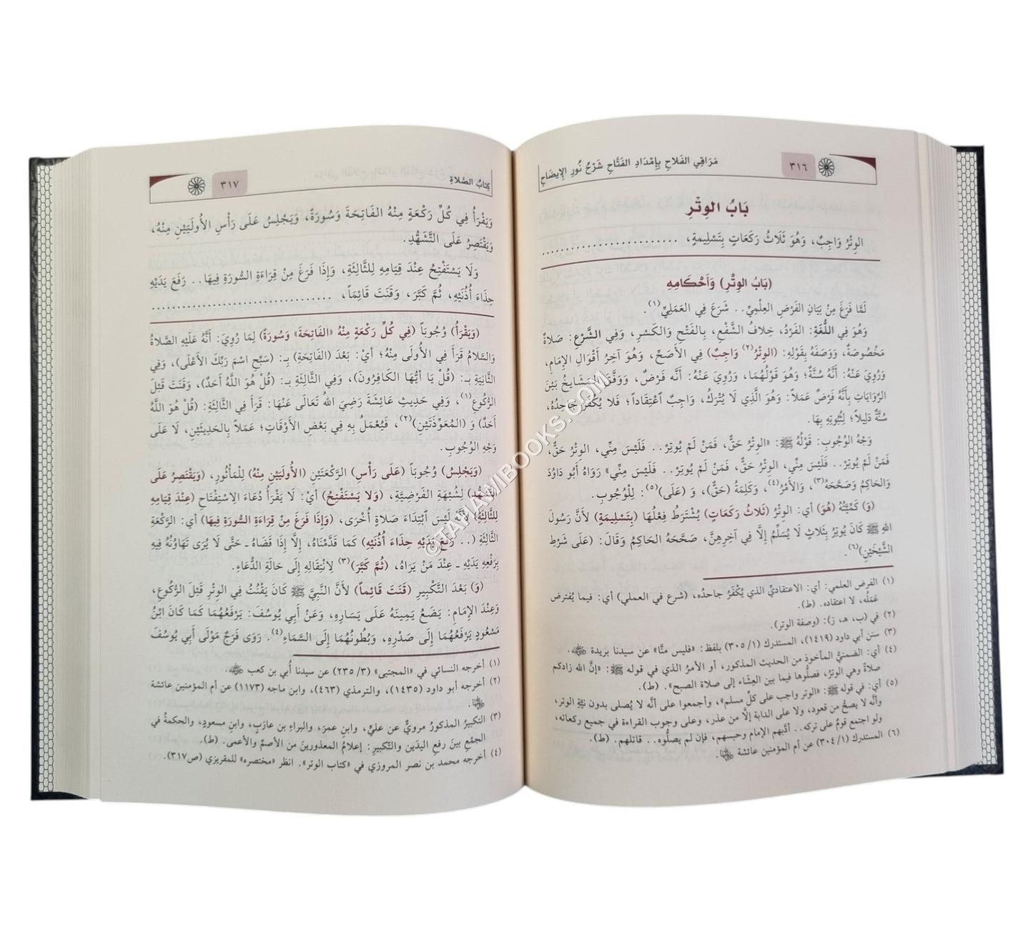 مراقي الفلاح شرح نور الإيضاح-نور الصباح