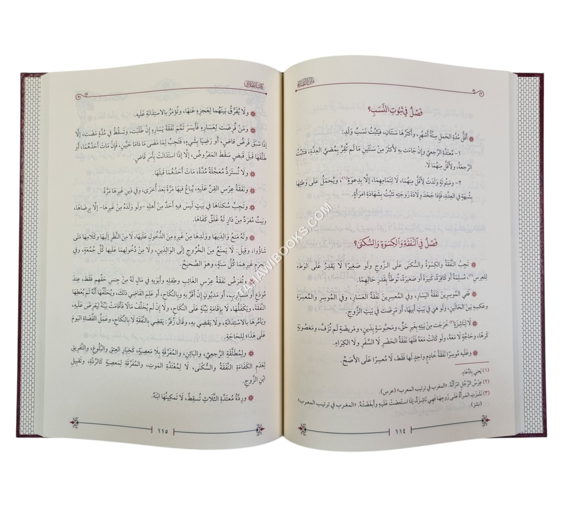 النقاية مختصر الوقاية
