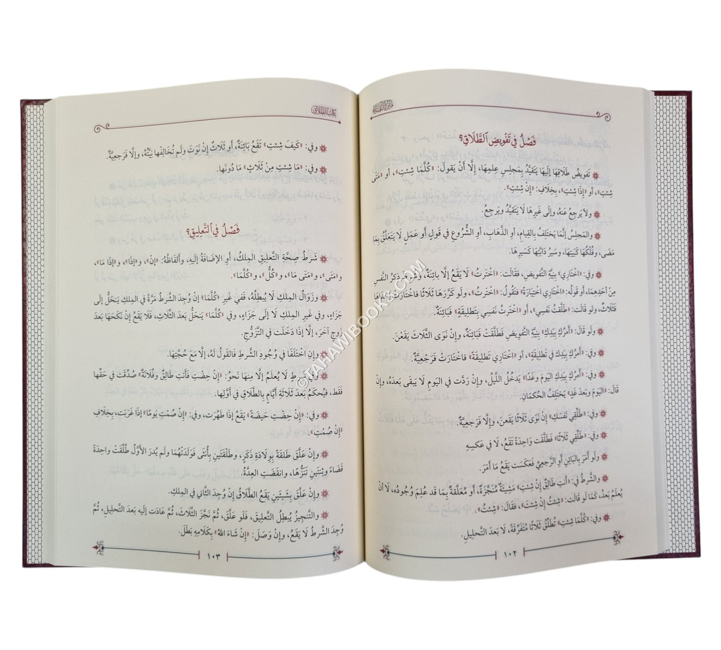 النقاية مختصر الوقاية