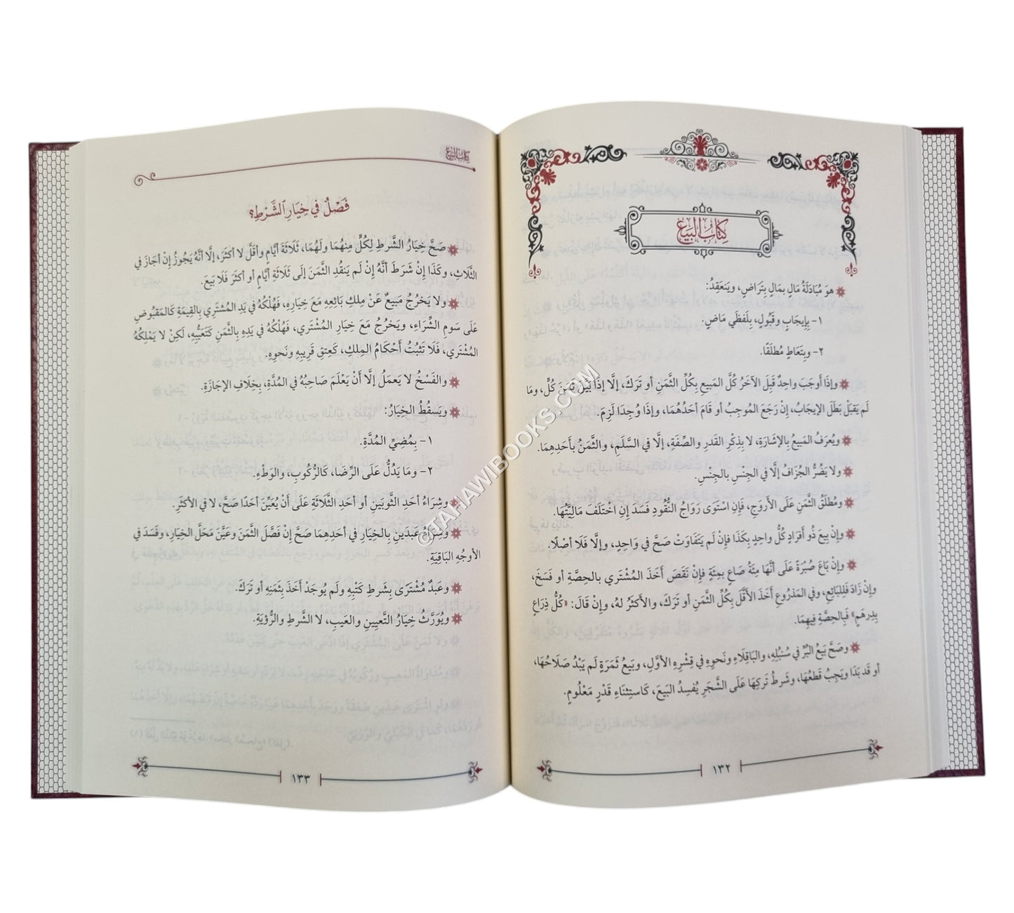 النقاية مختصر الوقاية