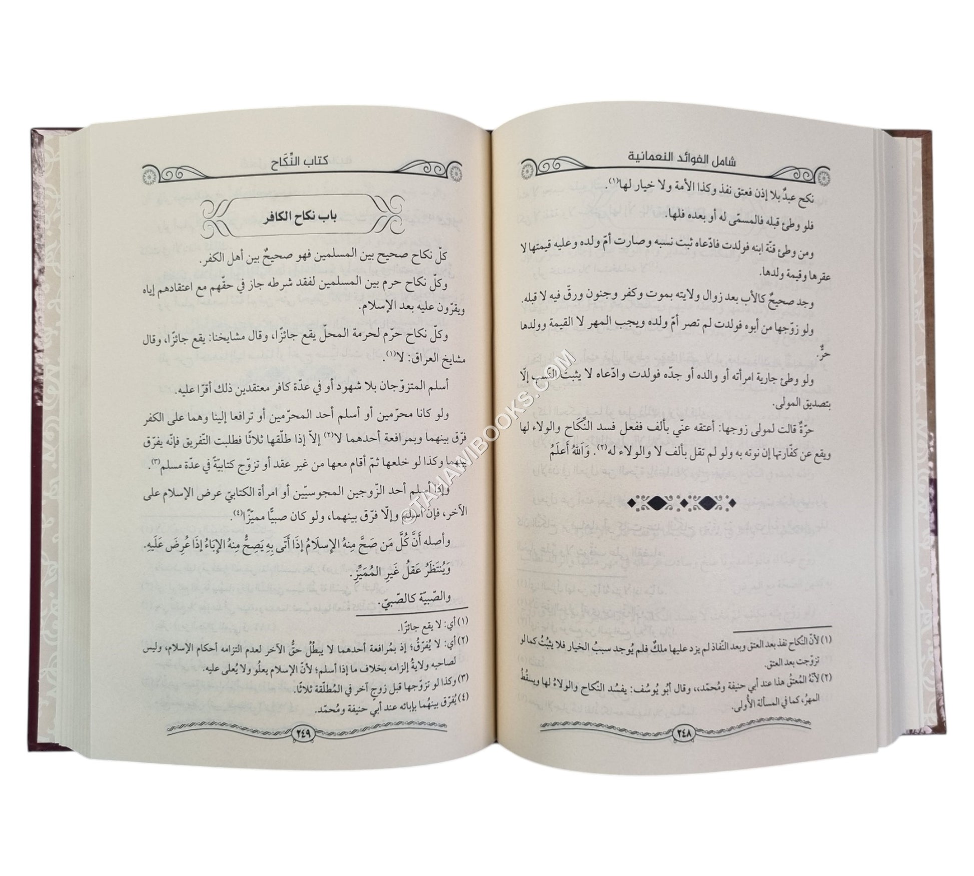 شامل الفوائد النعمانية نظير تنوير الأبصار