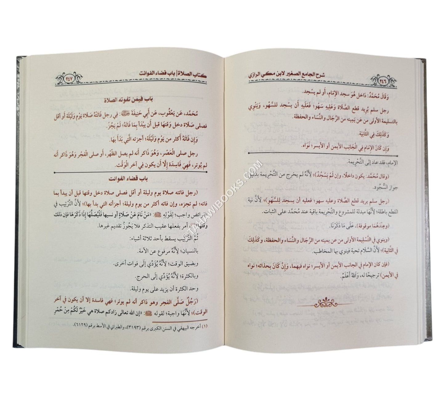 شرح الجامع الصغير للرازي
