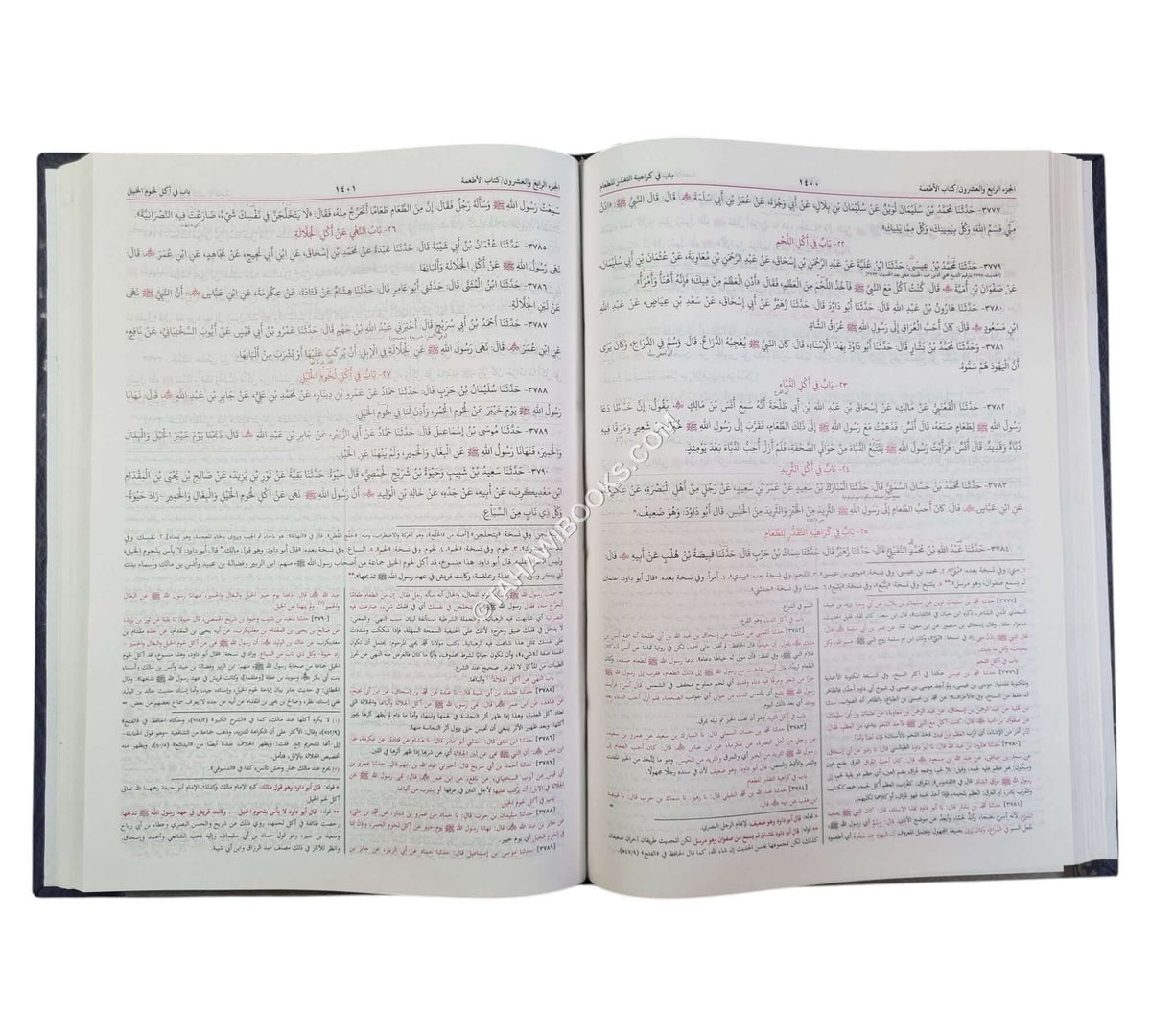 سنن أبي داود مع بذل المجهود-البشرى-كبير