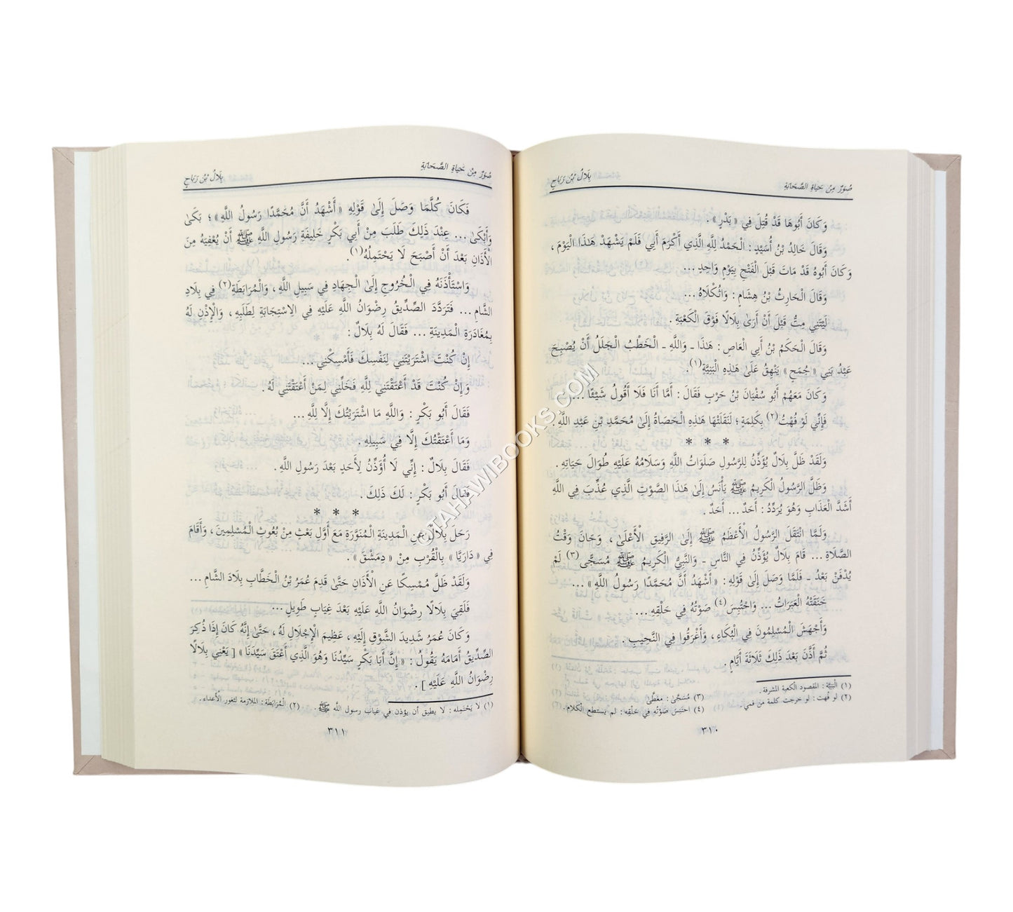 صور من حياة الصحابة ج1