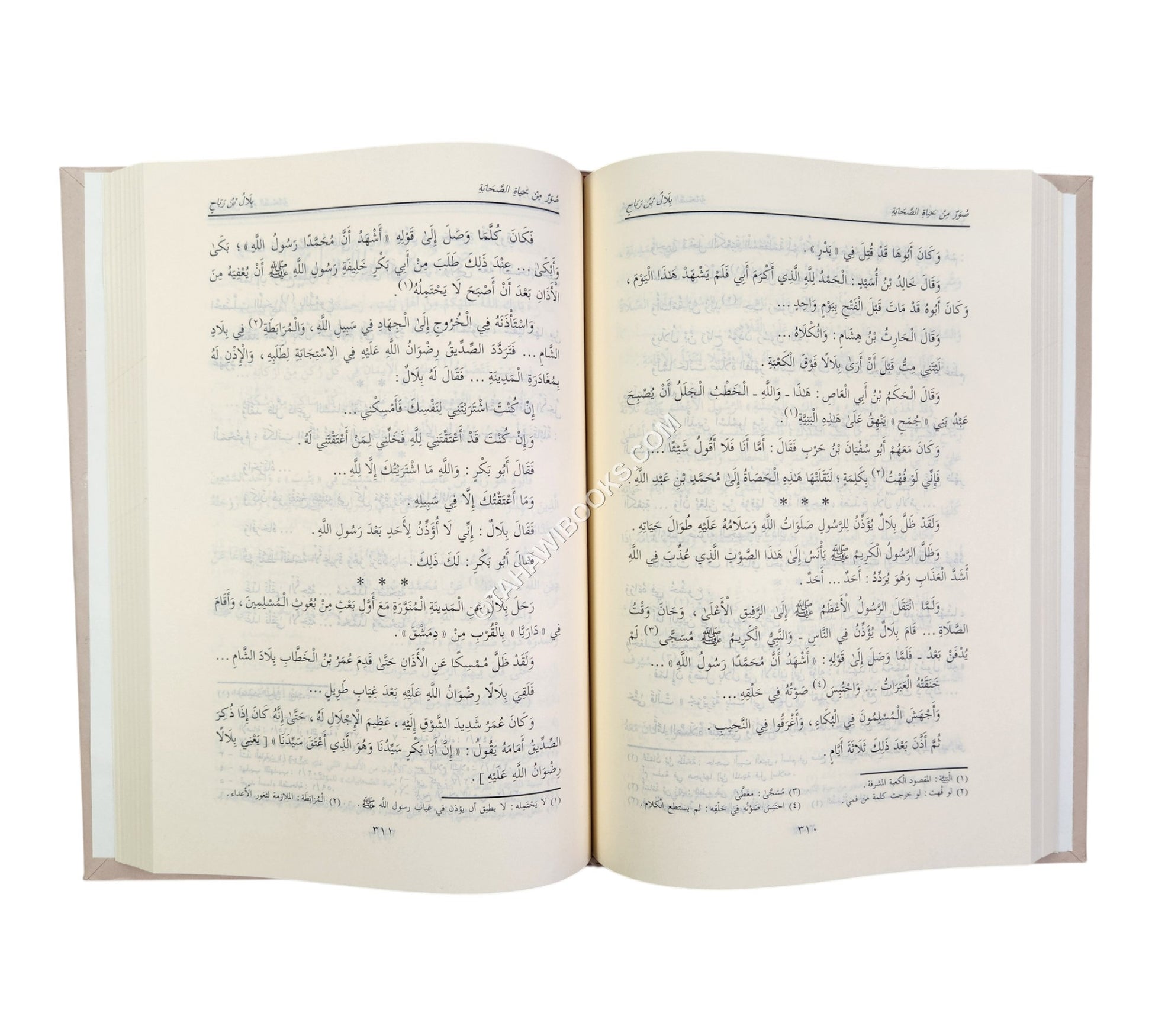 صور من حياة الصحابة ج1