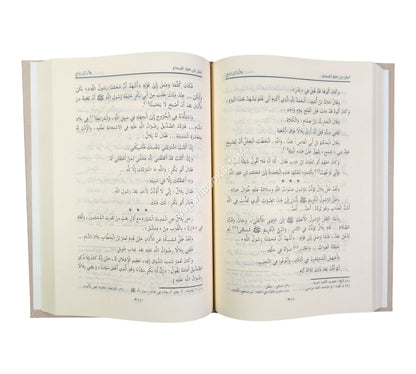صور من حياة الصحابة ج1