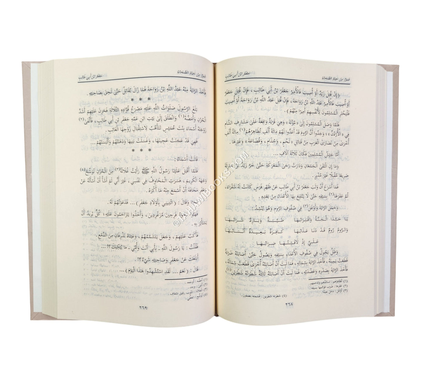صور من حياة الصحابة ج1