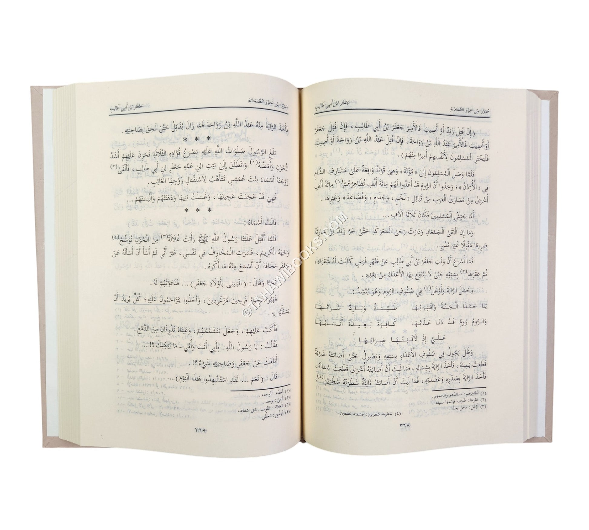 صور من حياة الصحابة ج1