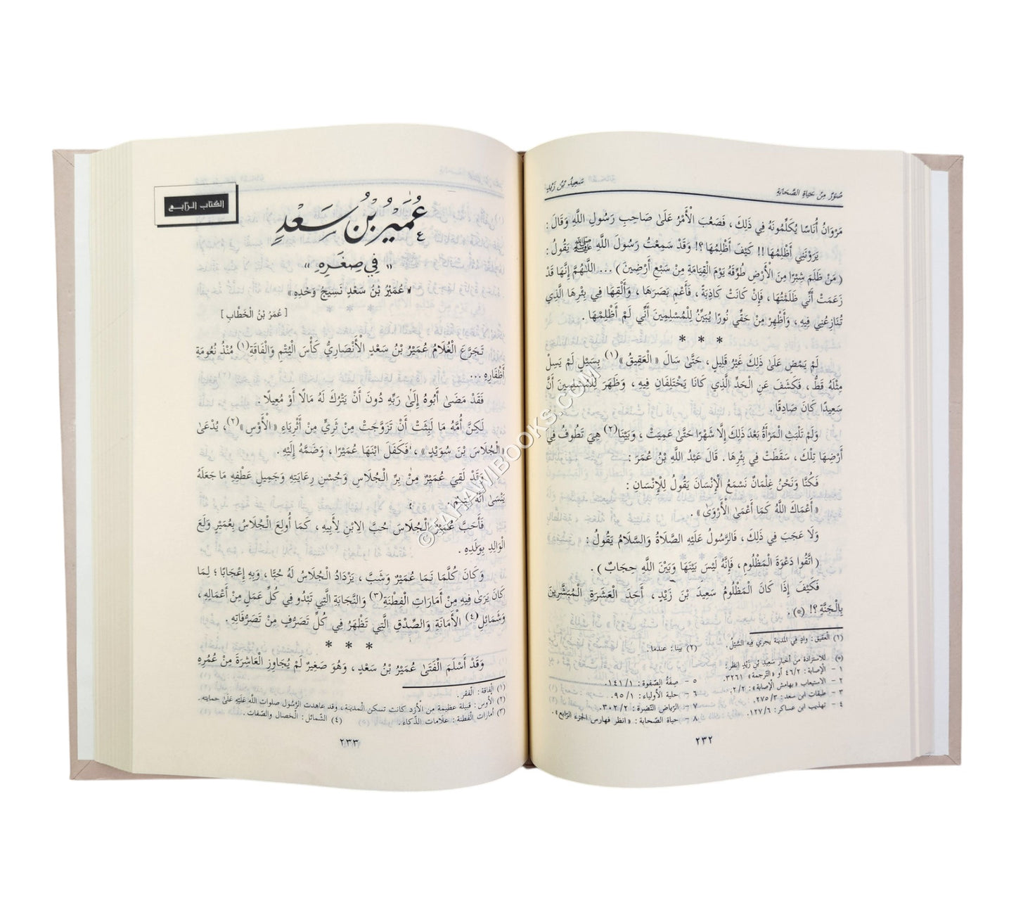 صور من حياة الصحابة ج1