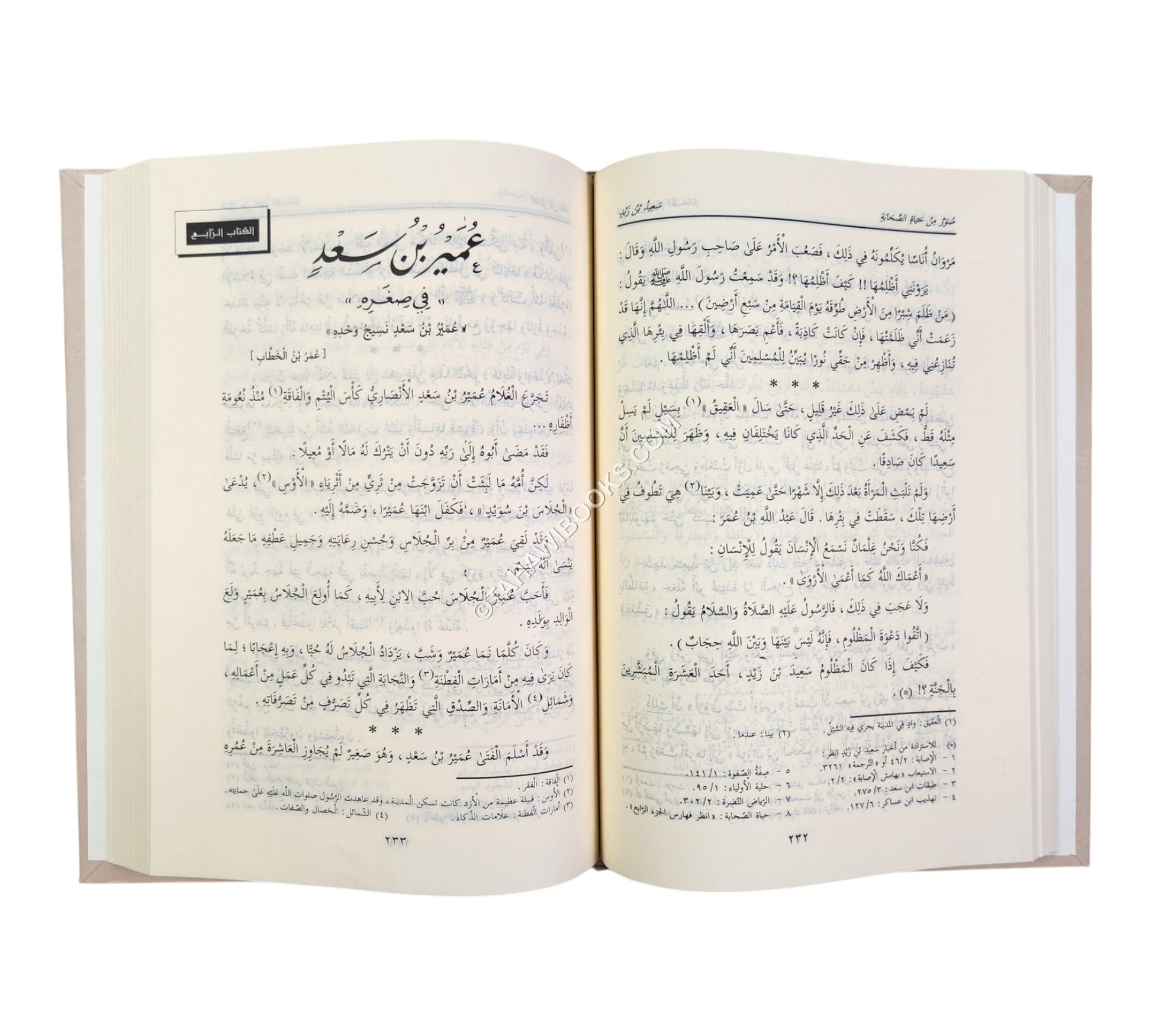 صور من حياة الصحابة ج1