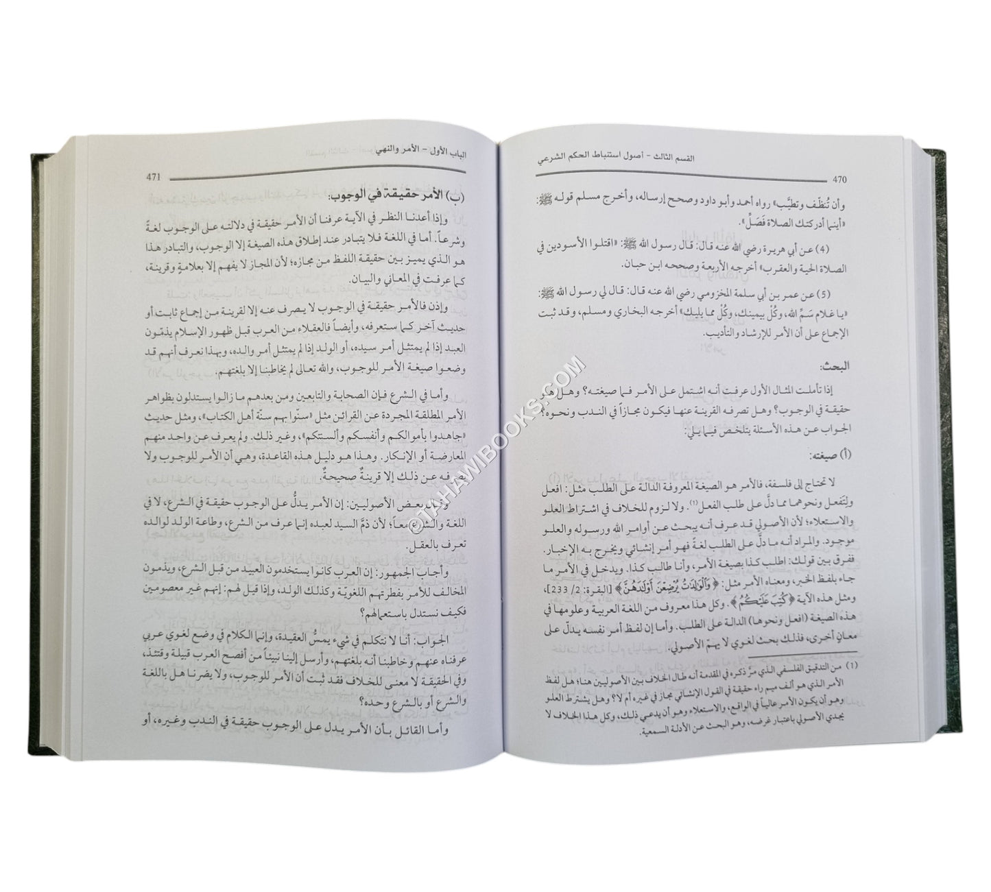 المصفى في أصول الفقه