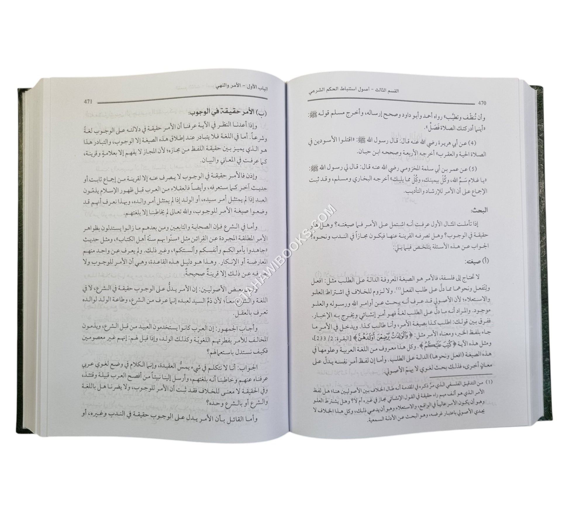 المصفى في أصول الفقه