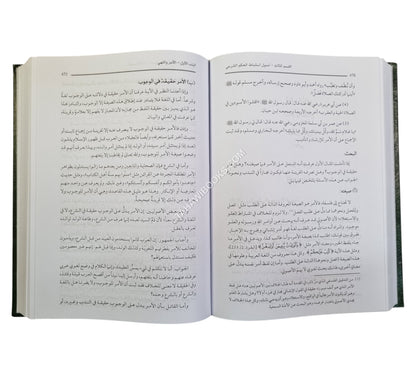 المصفى في أصول الفقه